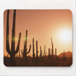 Tapis De Souris Cactus sur le désert
