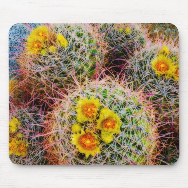 Tapis De Souris Cactus tonneau en gros plan, Californie (Devant)