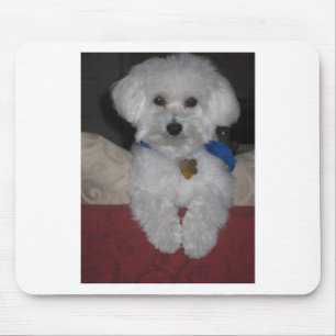 Tapis De Souris Cadeau maltais