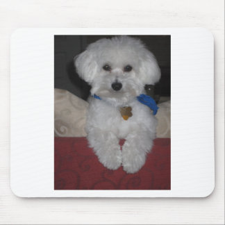 Tapis De Souris Cadeau maltais
