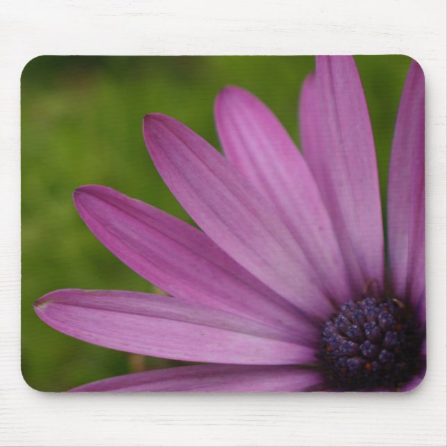 Tapis De Souris Cadeau pourpre de marguerite africaine de mousepad (Devant)