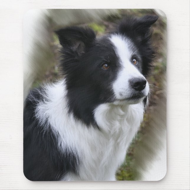 Tapis De Souris Cadeaux d'art Collie Frontière (Devant)