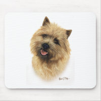 Cairn Terrier