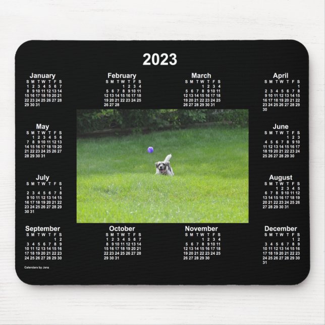 Tapis De Souris Calendrier photo 2023 de Ball Playing Dog Neon par (Devant)