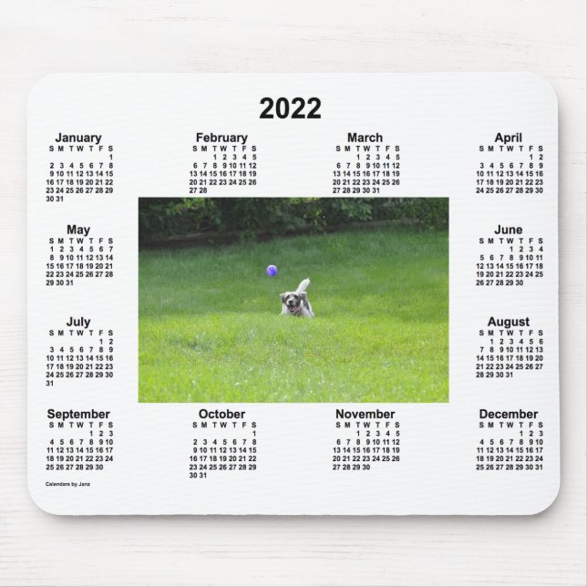 Tapis De Souris Calendrier photo de Ball Playing Dog 2022 par Janz (Devant)