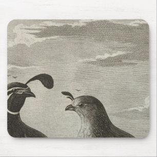 Tapis De Souris Californie