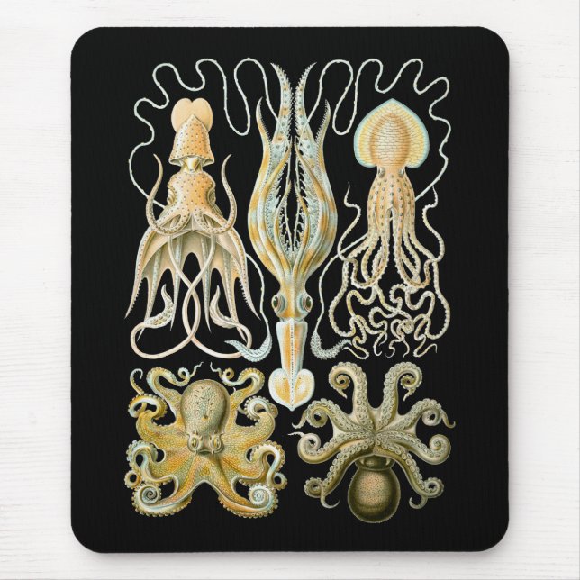 Tapis De Souris Calmar et poulpe (Devant)