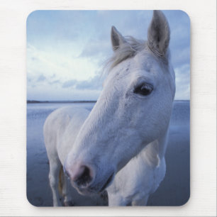 Tapis De Souris Camargue Horse