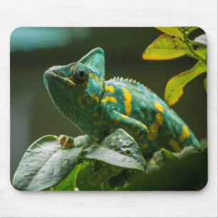 Tapis de souris Caméléon Vert