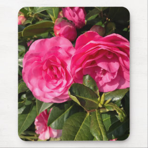 Tapis De Souris Camellia rose