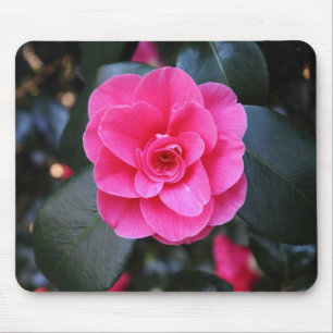 Tapis De Souris Camellia rose