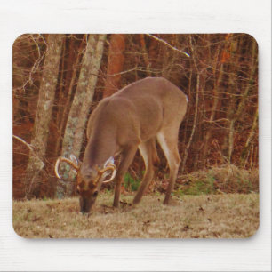 Tapis De Souris Camouflage en chêne rouge Stag Buck Deer Nourritur