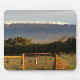 Tapis De Souris Campagne dans Kamuela