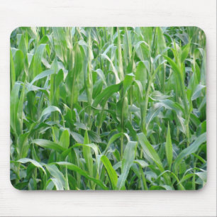 Tapis De Souris Campagne Green Cornfield Photo Arrière - plan