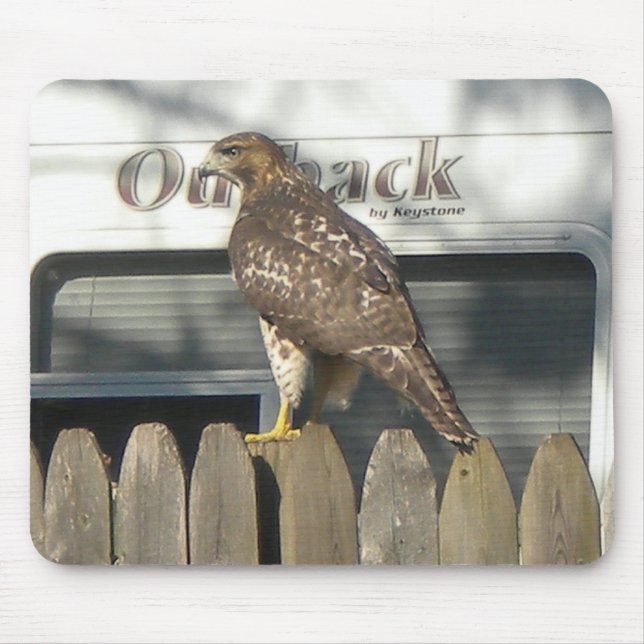 Tapis De Souris Camping Hawk mousepad (Devant)