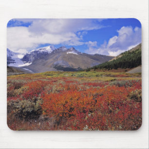 Tapis De Souris Canada, Alberta, Parc national de Banff. Les airel