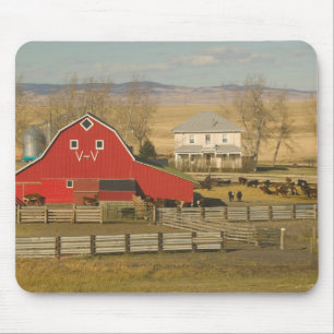Tapis De Souris Canada, Alberta, Pincher Creek : Red Barn & Ranch