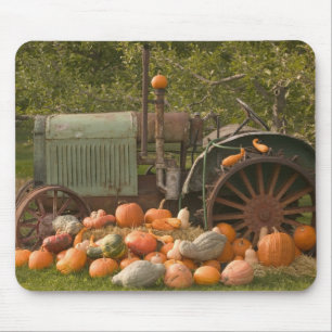 Tapis De Souris CANADA, Colombie-Britannique, Keremeos. Automne /