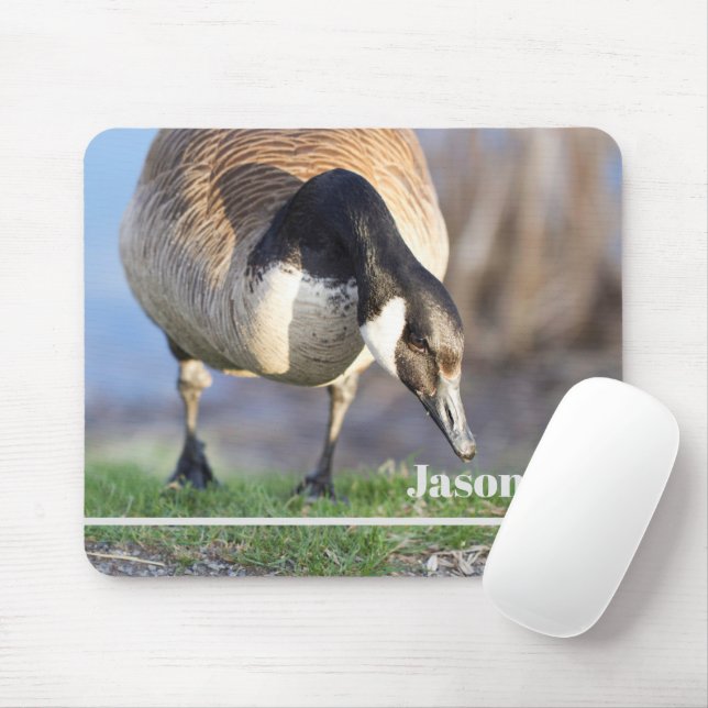 Tapis De Souris Canada Goos (Avec souris)