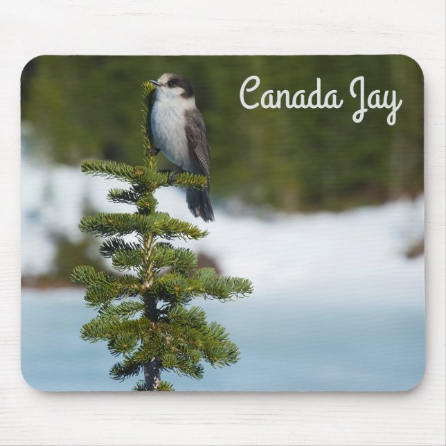 Tapis De Souris Canada Jay (Devant)