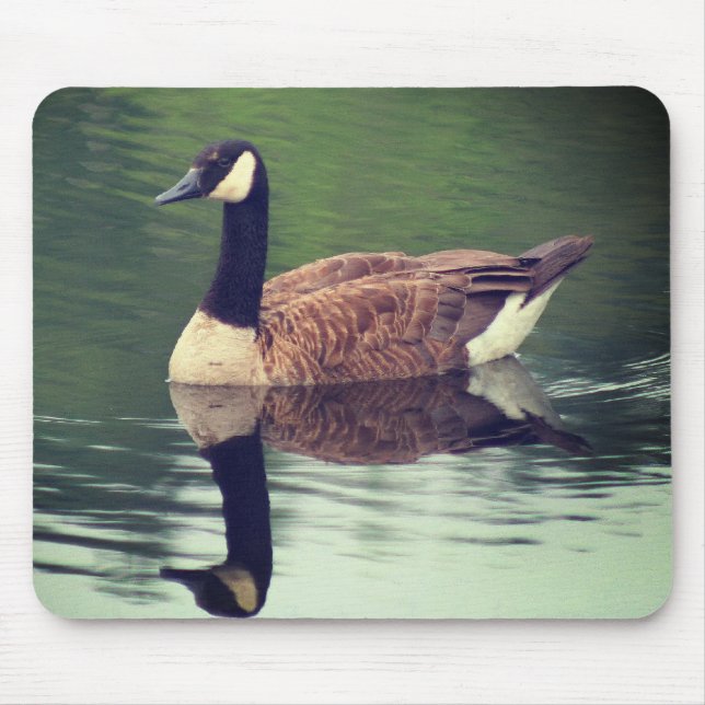 Tapis De Souris Canada Oies Reflections Nature (Devant)