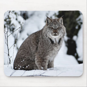 Tapis De Souris Canadien Lynx dans la neige