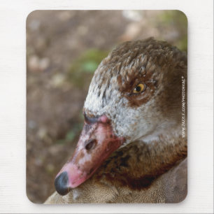Tapis De Souris Canard