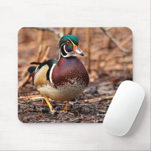 Tapis De Souris Canard à bois mâle dans les bois