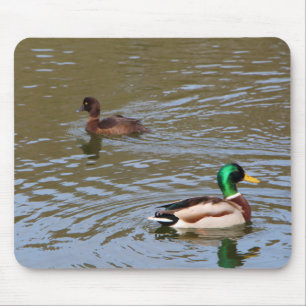 Tapis De Souris Canard colvert et canard touffu sur une rivière