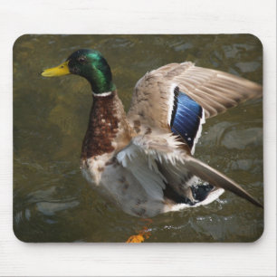 tapis de souris canard colvert sur le point de s'e