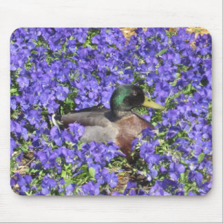 Tapis De Souris Canard de Mallard appréciant un lit des fleurs