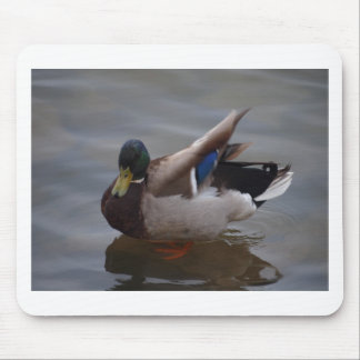 Tapis De Souris Canard masculin de Mallard
