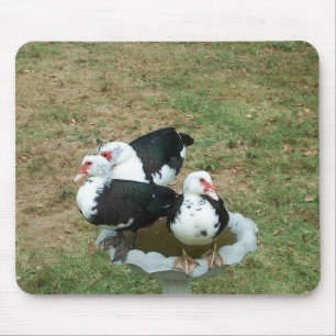 Tapis De Souris Canard Mousepad