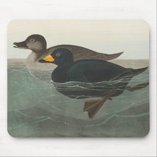 Tapis De Souris Canard router américain Audubon