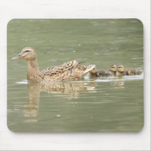 Tapis De Souris Canards