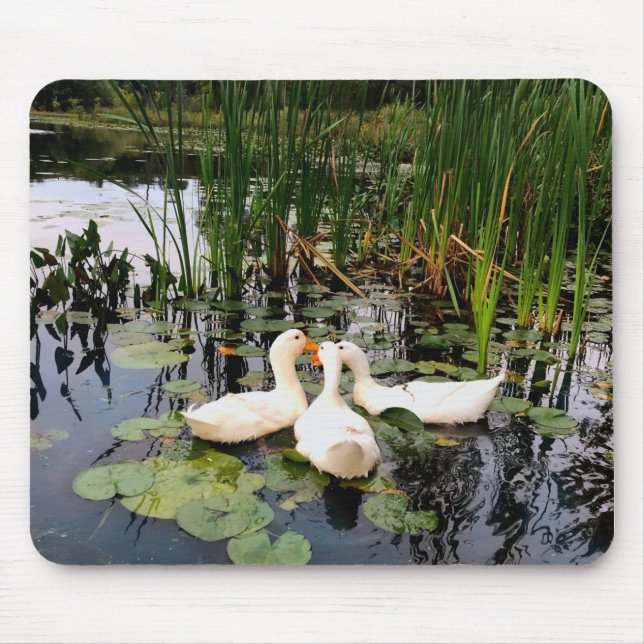 Tapis De Souris Canards blancs classiques sur le magnifique lac (Devant)