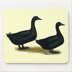 Tapis De Souris Canards : Cayugas noirs