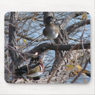 Tapis De Souris Canards en bois dans un arbre
