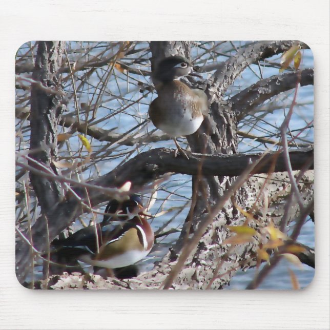 Tapis De Souris Canards en bois dans un arbre (Devant)