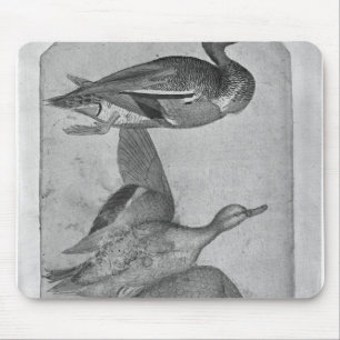 Tapis De Souris Canards, le de l'album de Vallardi