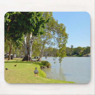 Tapis De Souris Canards Sur Le Fleuve Murray Australia,
