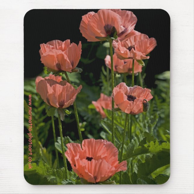 Tapis de souris Candy Pops (Devant)