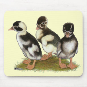 Tapis De Souris Canetons coureurs Emery crayonnés