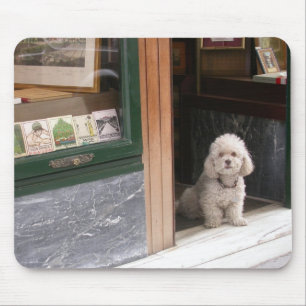 Tapis De Souris Caniche nain blanc