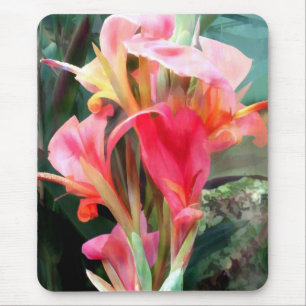 Tapis De Souris Cannas assez dans le rose