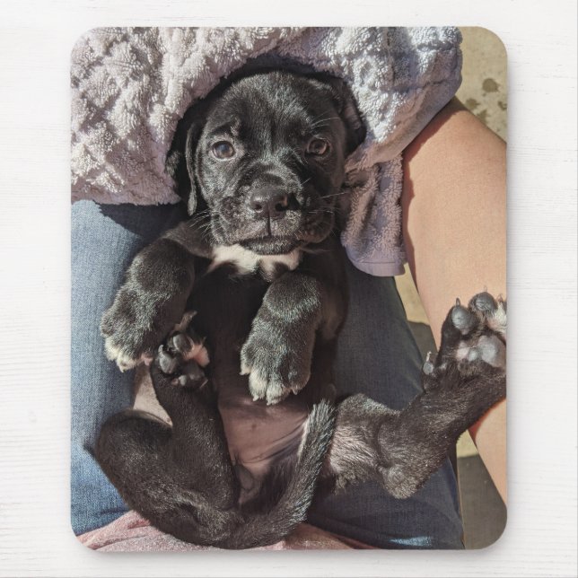 Tapis De Souris Canne Corso Puppy Pad (Devant)