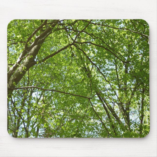 Tapis De Souris Canopée du printemps Feuille Green Nature Scene (Devant)