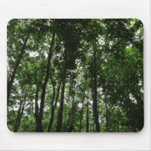 Tapis De Souris Canopée forestière 02