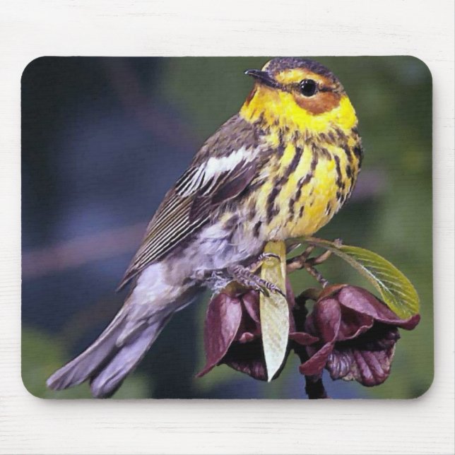 Tapis De Souris Cap May Amateurs d'oiseaux de Paruline Cadeaux (Devant)