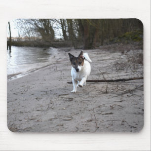 Tapis De Souris Capo von Oppenheim Jack Russell Terrier, Chien